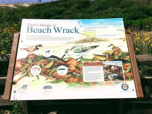 Beach Wrack Sign South Ponto Beach