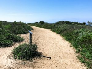 Biodiversity Trail Hidden Gems in San Diego