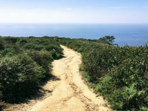 Biodiversity Trail 2 Hidden Gems in San Diego