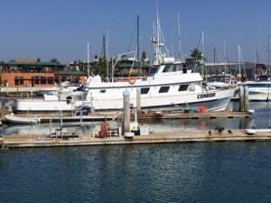 Condor Sportfishing boat