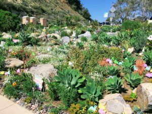 Del Mar Dog Beach garden beginning beach