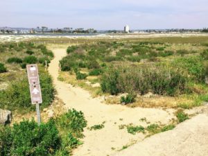 Dog Beach Path Hidden Gems in San Diego