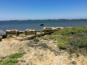 Gunpowder Point Living Coast Discovery Center