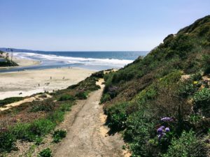 Halfway up bluff hidden gems in San Diego