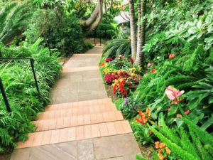 Meditation Garden Hidden Gems In San Diego