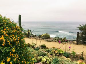 Meditation Garden Overlook cacti ocean view