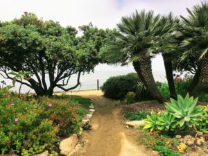 Meditation Garden west dirt path trees ocean