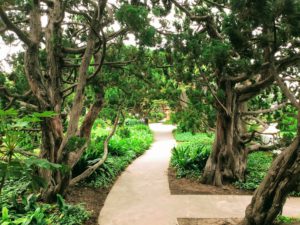 Meditation path hidden gems in San Diego