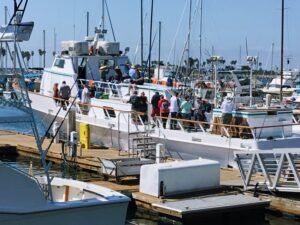 New Seaforth Sportfishing Mission Bay