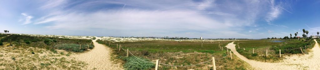 Ocean Beach Dog Beach Panoramic