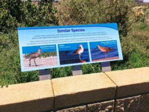 San Diego Bay Shorebirds information sign