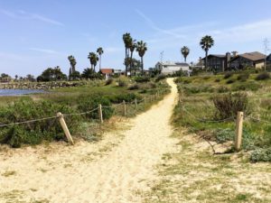 Smiley lagoon path ocean beach dog beach