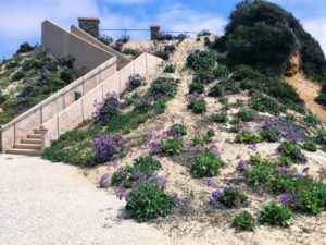 south ponto beach stairway hidden gems in San Diego