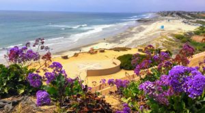 South Ponto Overlook Carlsbad State Beach