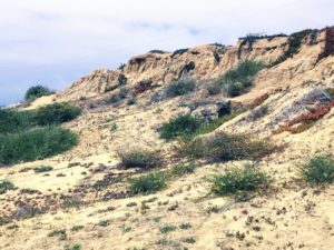 South Ponto back end overlook sand dunes