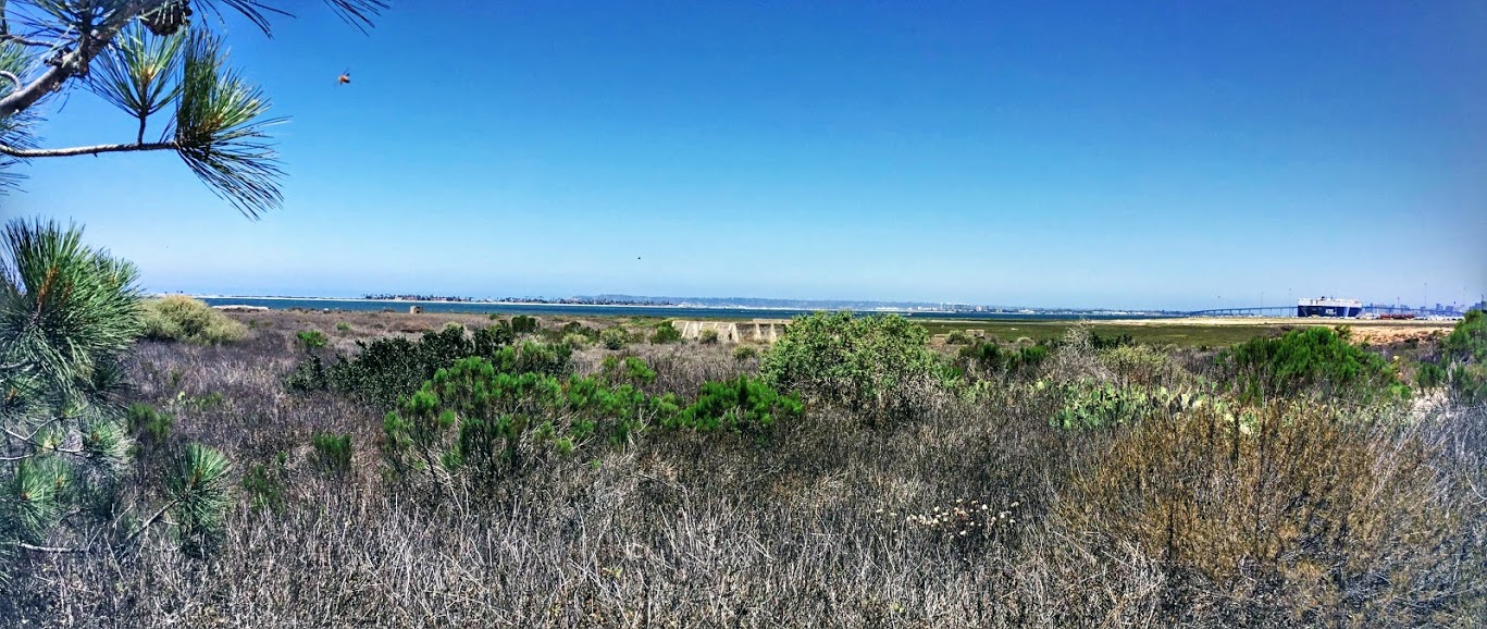 sweetwater national city pano salt marsh