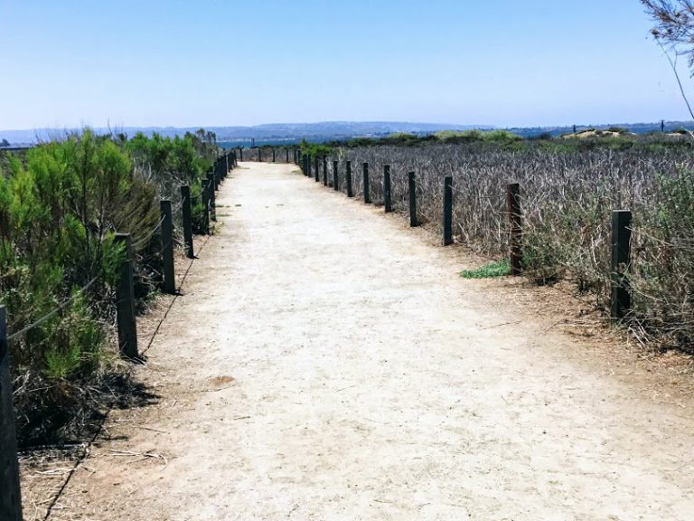 Touring The Living Coast Discovery Center – San Diego Beach Secrets