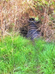 culvert pipe south end treatment pond