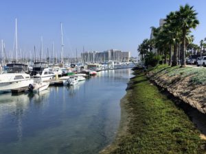 Harbor Island East View San Diego Bay