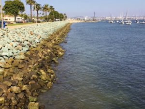 Shelter Island East View San Diego Bay