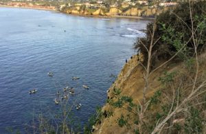 Kayaks Caves la jolla coast walk trail