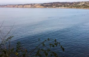 La Jolla Bay La Jolla Coast Walk Trail