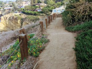 La Jolla Coast Walk Trail La Jolla Bluffs