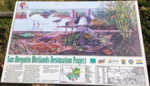 Wetlands Restoration Project San Dieguito River Trail