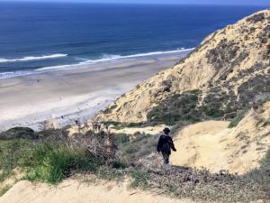 Gliderport Trail Going Down Torrey Pines State Beach
