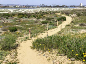 Living Museum Ocean Beach Best San Diego Beaches