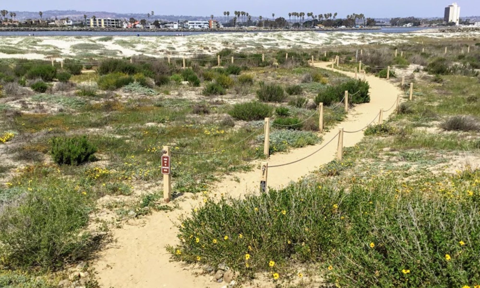 San Diego Beach Secrets