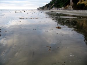 north Moonlight Beach San Diego Surf Camps