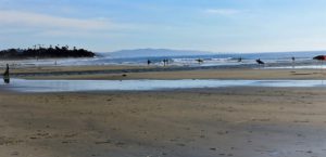 North Cardiff State beach best san diego hikes