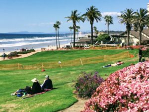 Powerhouse park del mar san diego surf camps