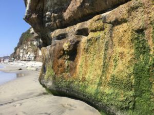 Rock Face Encinitas Best San Diego Hikes