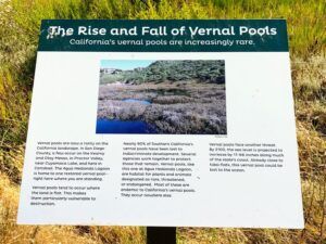 Agua Hedionda lagoon vernal pool information carlsbad