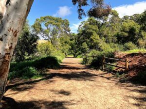 Annies Canyon trail march 19 san elijo lagoon