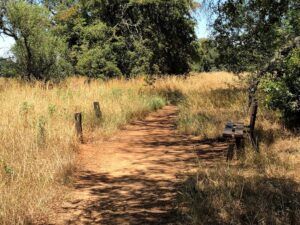 Bench Santa Rosa Plateau San Diego Summer