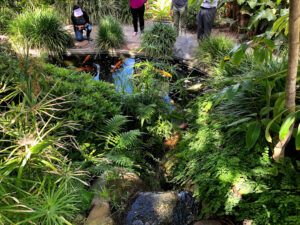 Koi Pond Self Realization Fellowship Meditation Garden