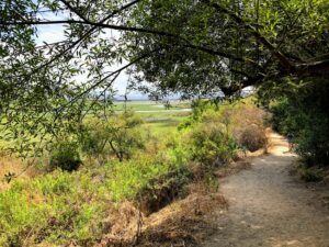 North Rios Trail San Elijo Lagoon