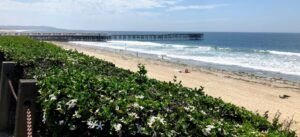 Pacific Beach Summer 2019 crystal pier