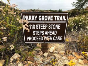 Parry Grove trail torrey pines state natural reserve