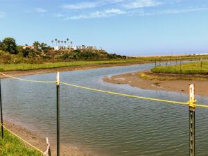 San Elijo gemma trail san elijo lagoon