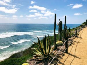 self-realization fellowship meditation garden encinitas