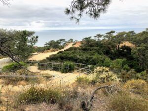 Torrey Pines State Natural Reserve ocean view