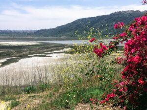 above view end trail Batiquitos Lagoon Carlsbad