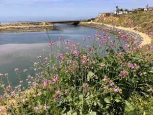 Agua Hedionda beginning of trail carlsbad ca