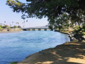 Riverpath Trail east view San Dieguito Lagoon Del Mar