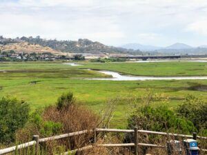 San Elijo Lagoon July 23 san diego beach