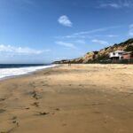 Crystal Cove Historic District 2019 year in review